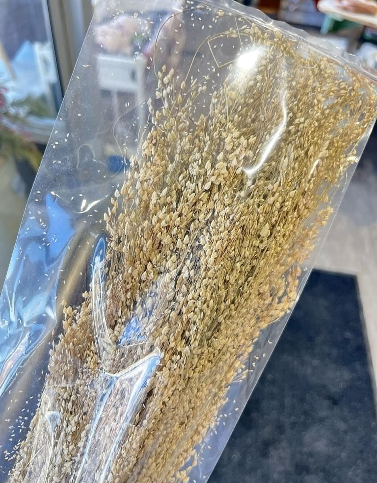 Creative Coop Dried Star Grass Bunch