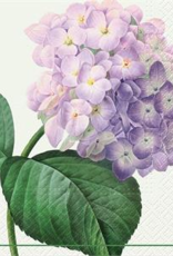 Napkins- Vintage Hydrangea