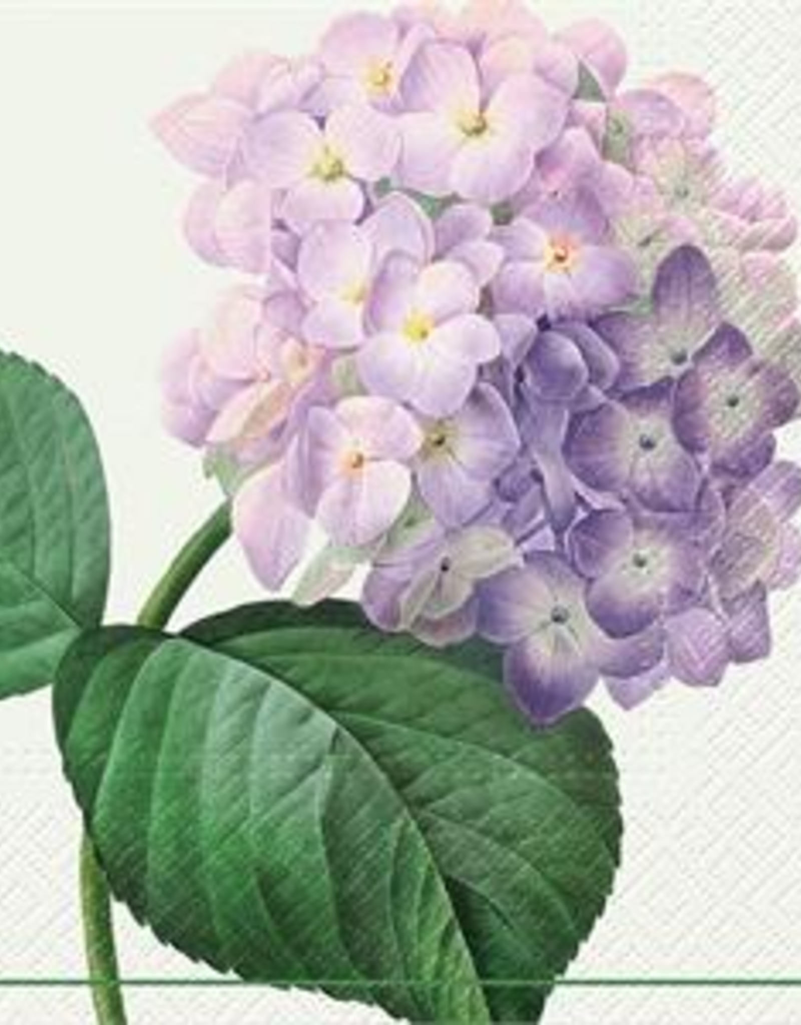 Napkins- Vintage Hydrangea