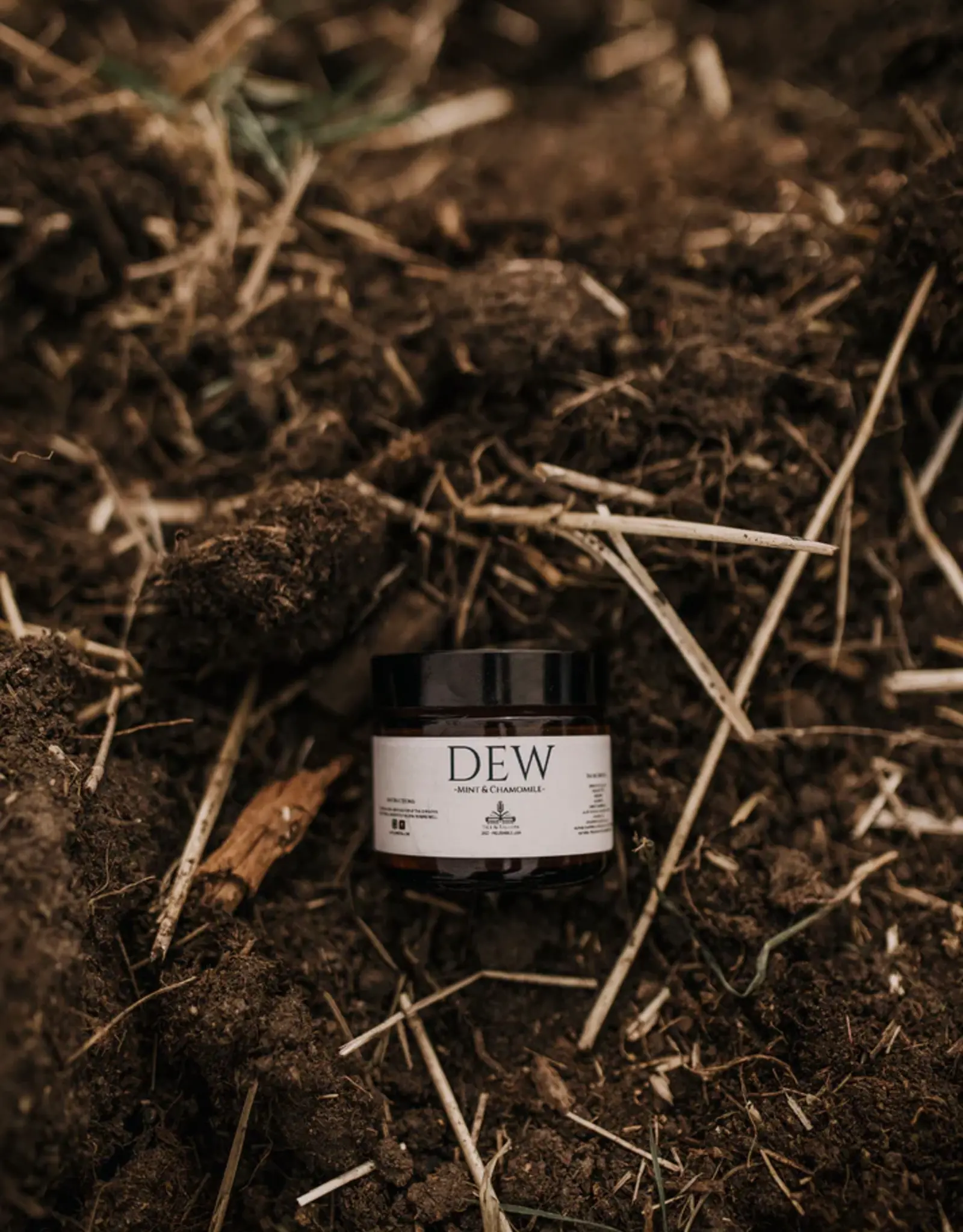 Till & Tallow Aloe After Sun- Dew 2oz