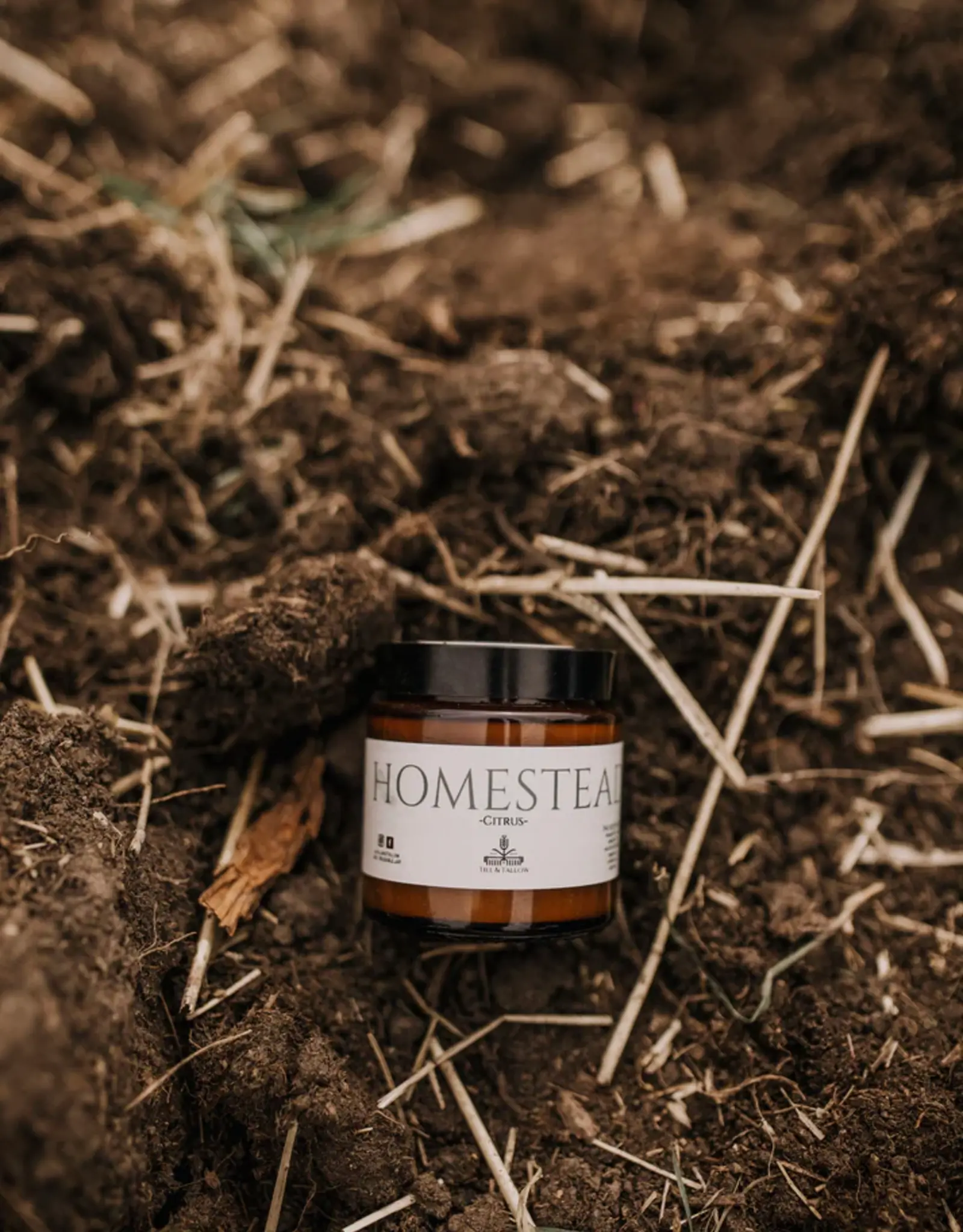 Till & Tallow Belly Butter- Homestead, 4oz