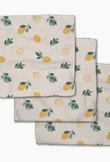 Geometry Freshly Picked Dishcloth Set