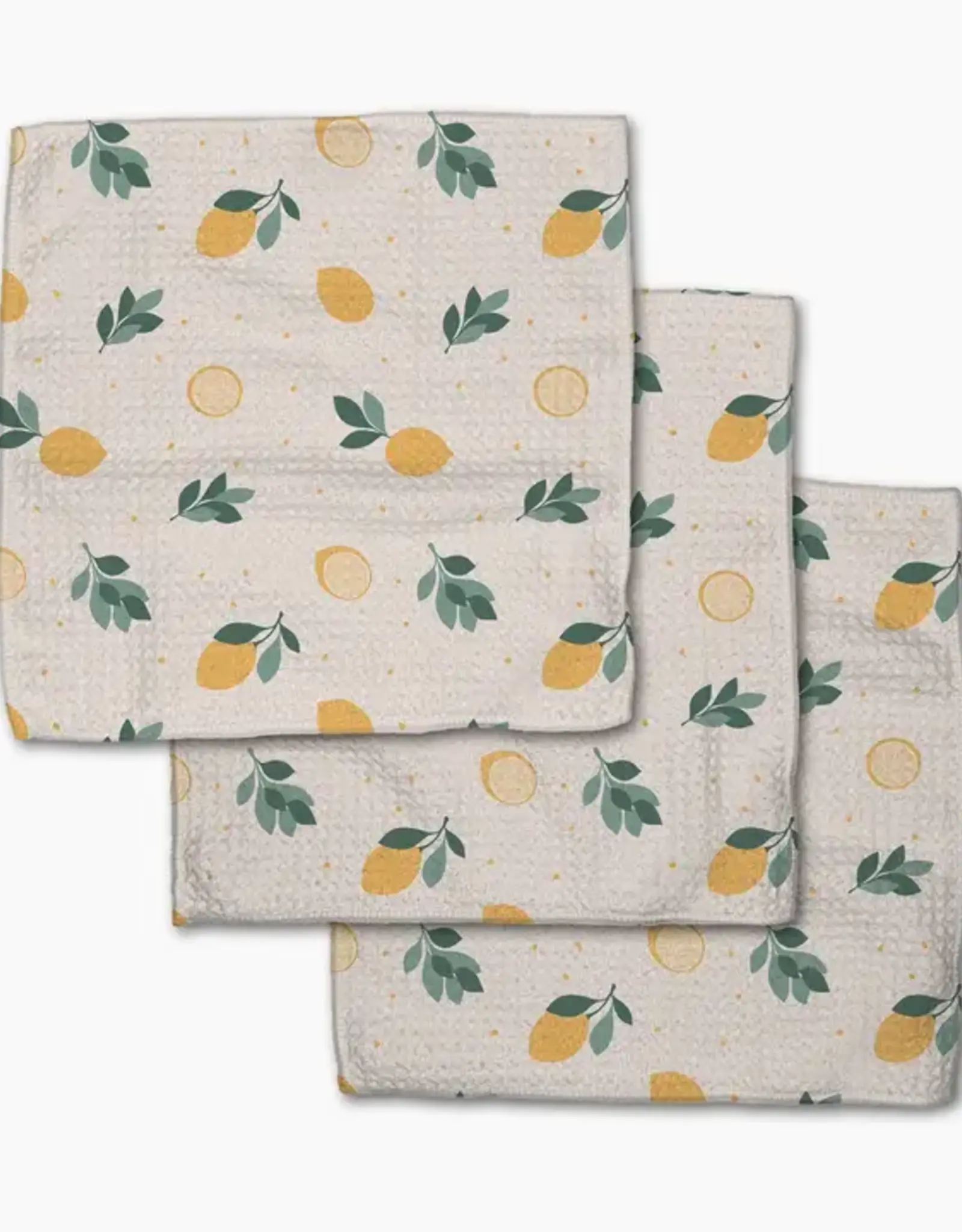 Geometry Dishcloth Set- Freshly Picked