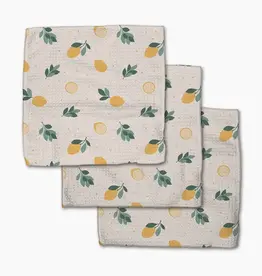Geometry Freshly Picked Dishcloth Set
