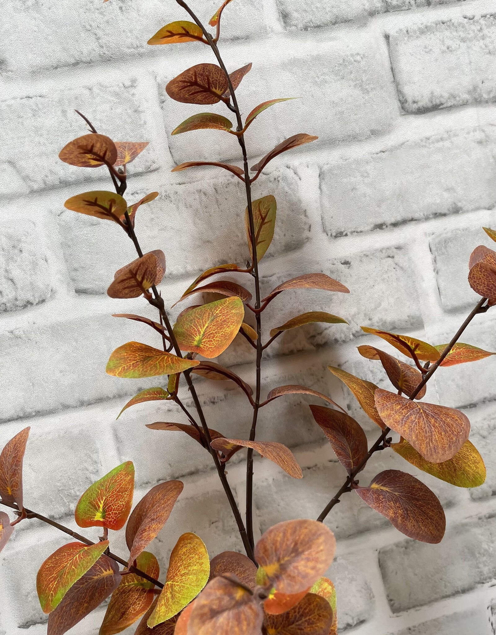 Tri W Fall Eucalyptus Spray 38"