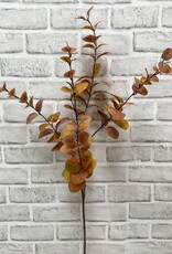 Tri W Fall Eucalyptus Spray 38"