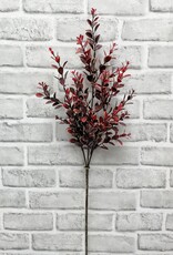 Tri W Burgundy Euonymus Spray 14"