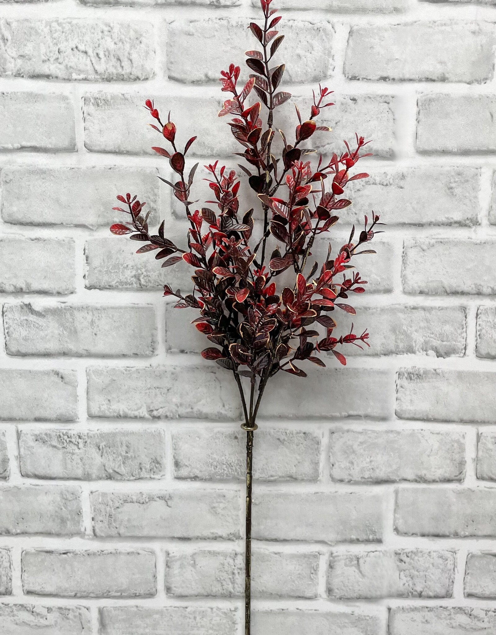 Tri W Burgundy Euonymus Spray 14"
