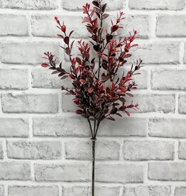 Tri W Burgundy Euonymus Spray 14"