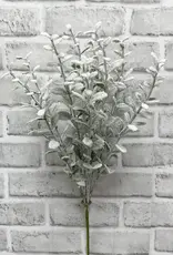 Tri W Snowy Boxwood Bush 19"