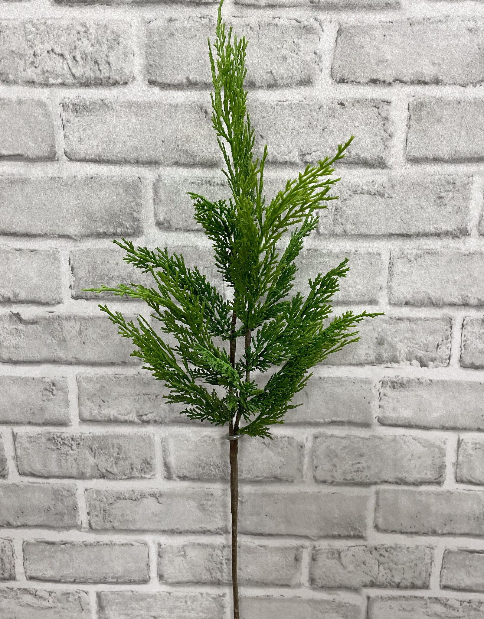 Tri W Fresh Touch Wispy Cedar Branch 24"