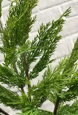 Tri W Fresh Touch Wispy Cedar Branch 24"