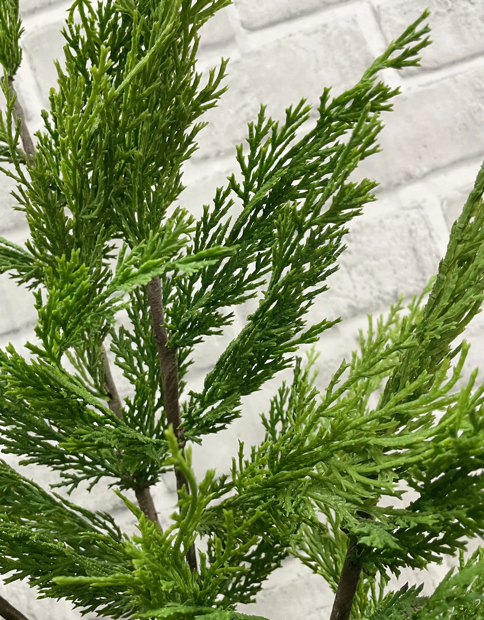 Tri W Fresh Touch Wispy Cedar Branch 24"