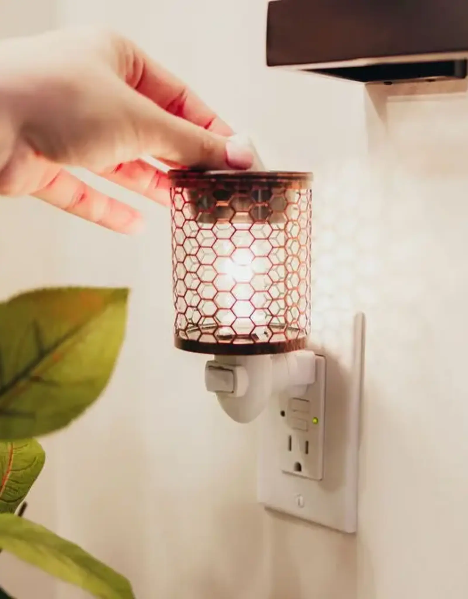 Prairie Creek Candles Wax Melts, Balsam Citrus