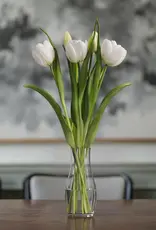 Tri W Fresh Touch Tulip, White Formosa