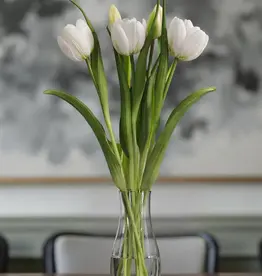 Tri W Fresh Touch Tulip, White Formosa