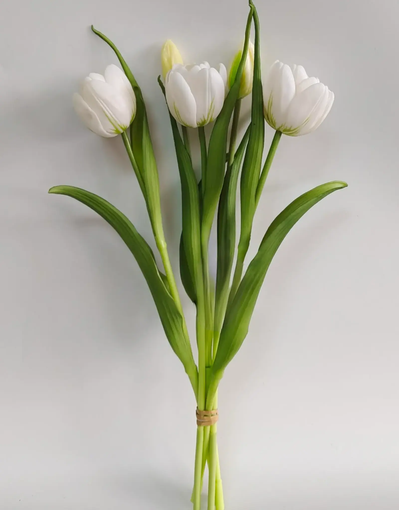 Tri W Fresh Touch Tulip, White Formosa