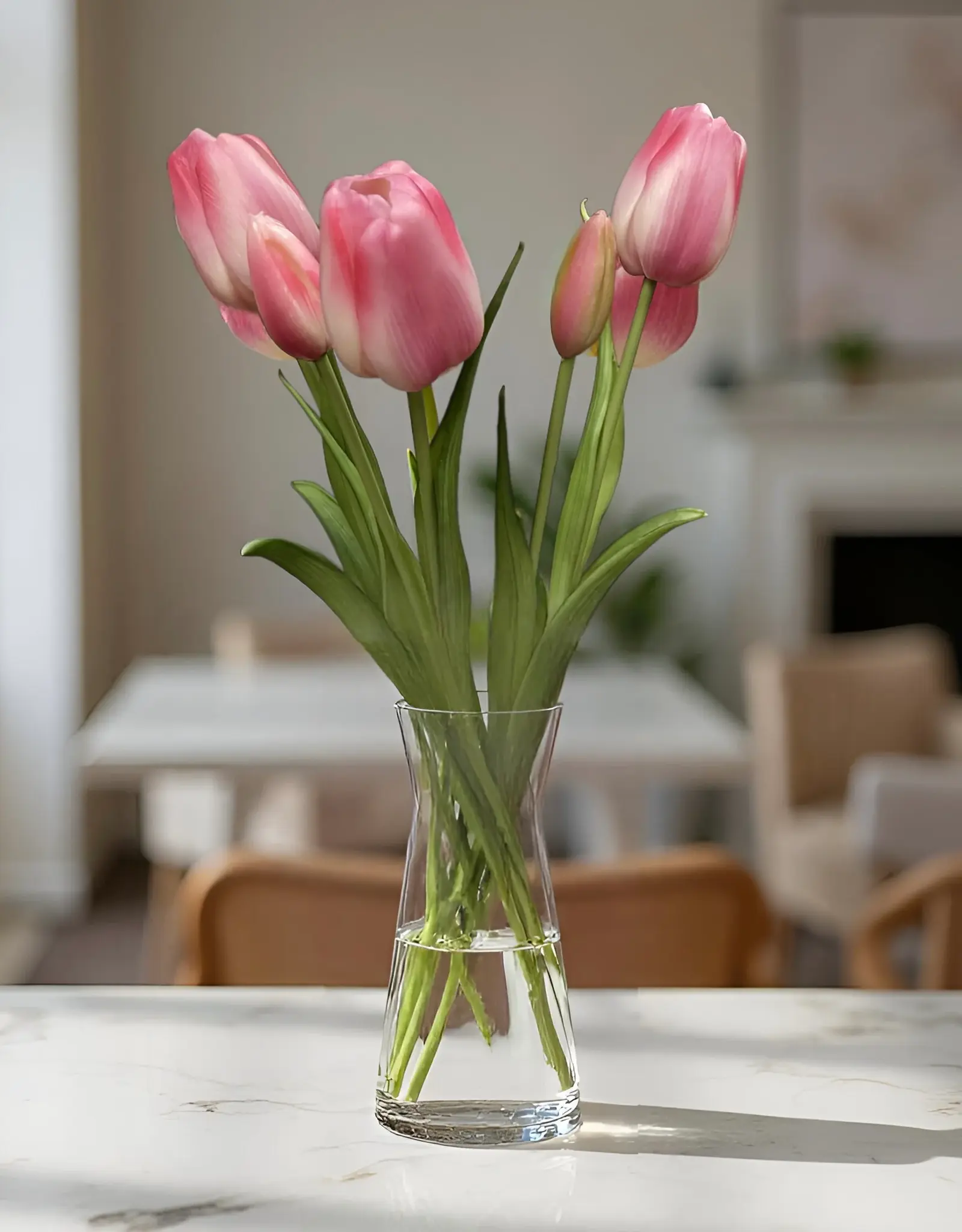 Tri W Fresh Touch Tulip, Cotton Candy Formosa