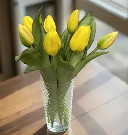 Tri W Fresh Touch Tulip, Yellow Formosa