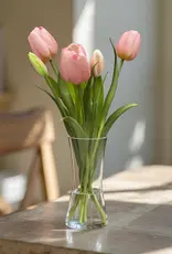 Tri W Fresh Touch Tulip, Pink Formosa