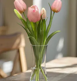 Tri W Fresh Touch Tulip, Pink Formosa