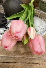 Tri W Fresh Touch Tulip, Pink Formosa