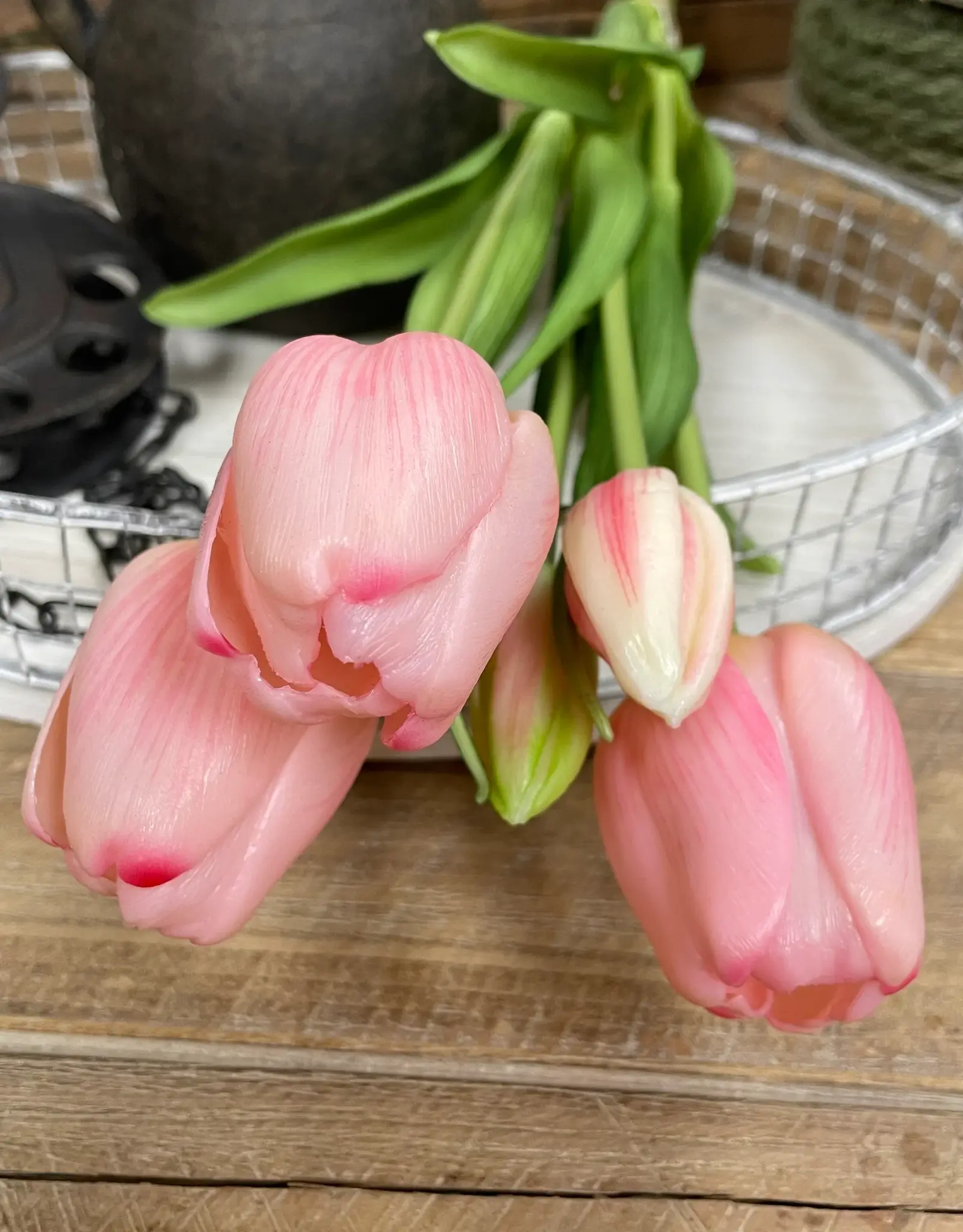 Tri W Fresh Touch Tulip, Pink Formosa