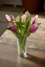 Tri W Fresh Touch Tulip, Deep Blush Formosa