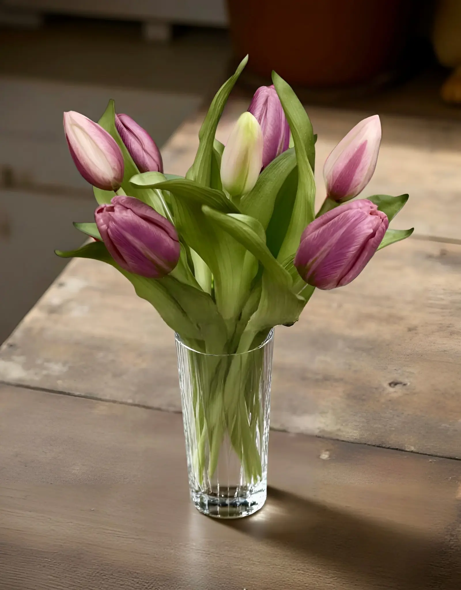 Tri W Fresh Touch Tulip, Deep Blush Formosa