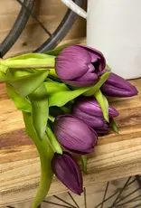 Tri W Fresh Touch Tulip Bundle, Purple