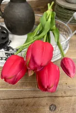 Tri W Fresh Touch Tulip Bundle, Rose