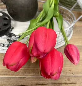 Tri W Fresh Touch Tulip Bundle, Rose