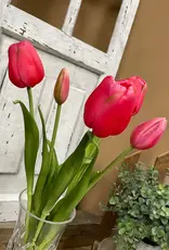 Tri W Fresh Touch Tulip Bundle, Rose