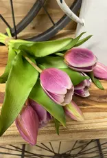 Tri W Fresh Touch Tulip Bundle, Lavender