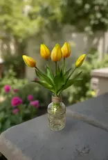 Tri W Fresh Touch  Mini Tulip Bundle, Yellow