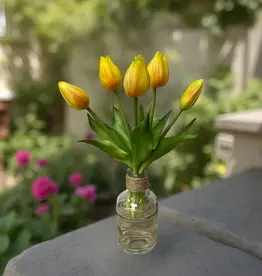 Tri W Fresh Touch  Mini Tulip Bundle, Yellow
