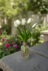 Tri W Fresh Touch  Mini Tulip Bundle, White
