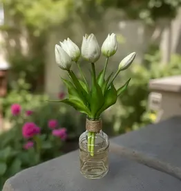 Tri W Fresh Touch  Mini Tulip Bundle, White