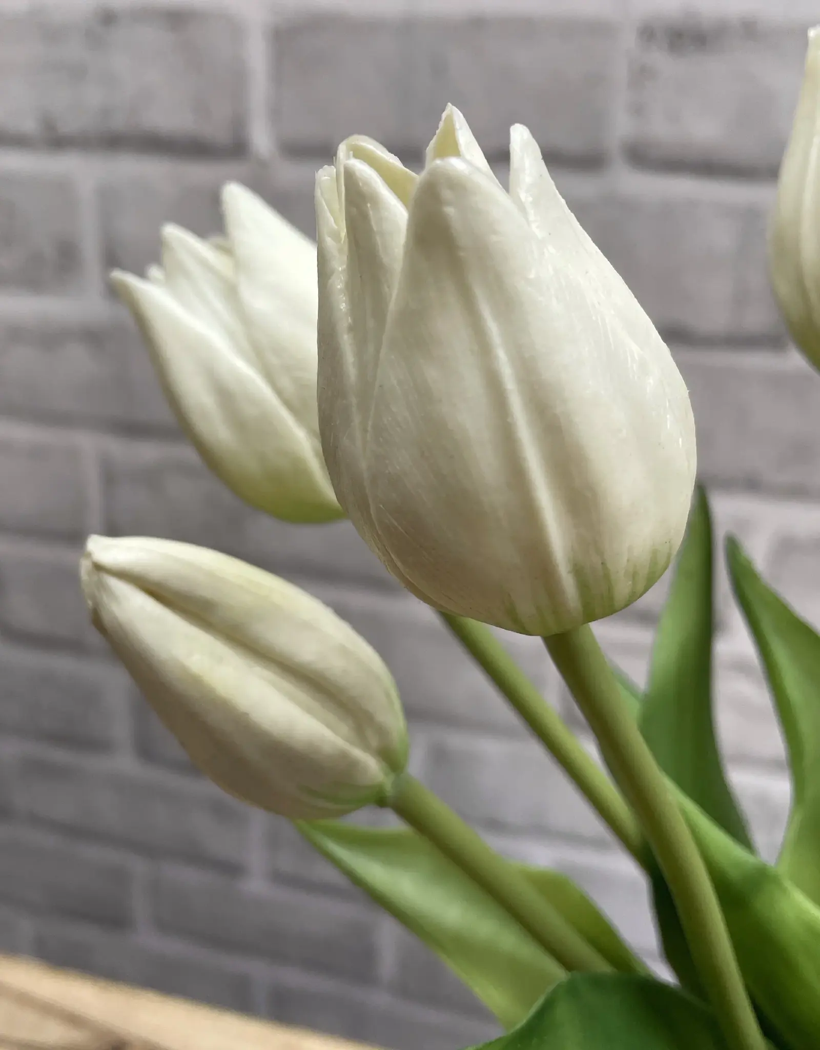 Tri W Fresh Touch  Mini Tulip Bundle, White