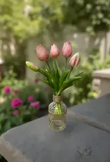 Tri W Fresh Touch  Mini Tulip Bundle, Pink