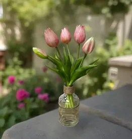 Tri W Fresh Touch  Mini Tulip Bundle, Pink