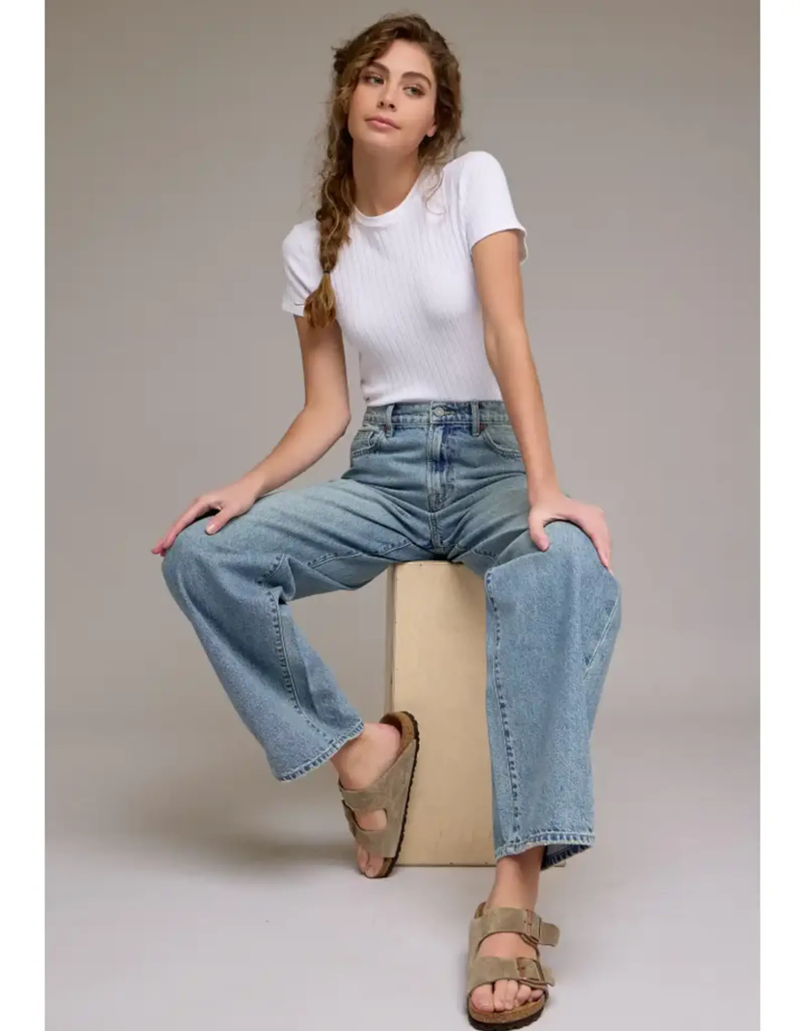 Hidden High Rise Baggy Vintage Wash Jean