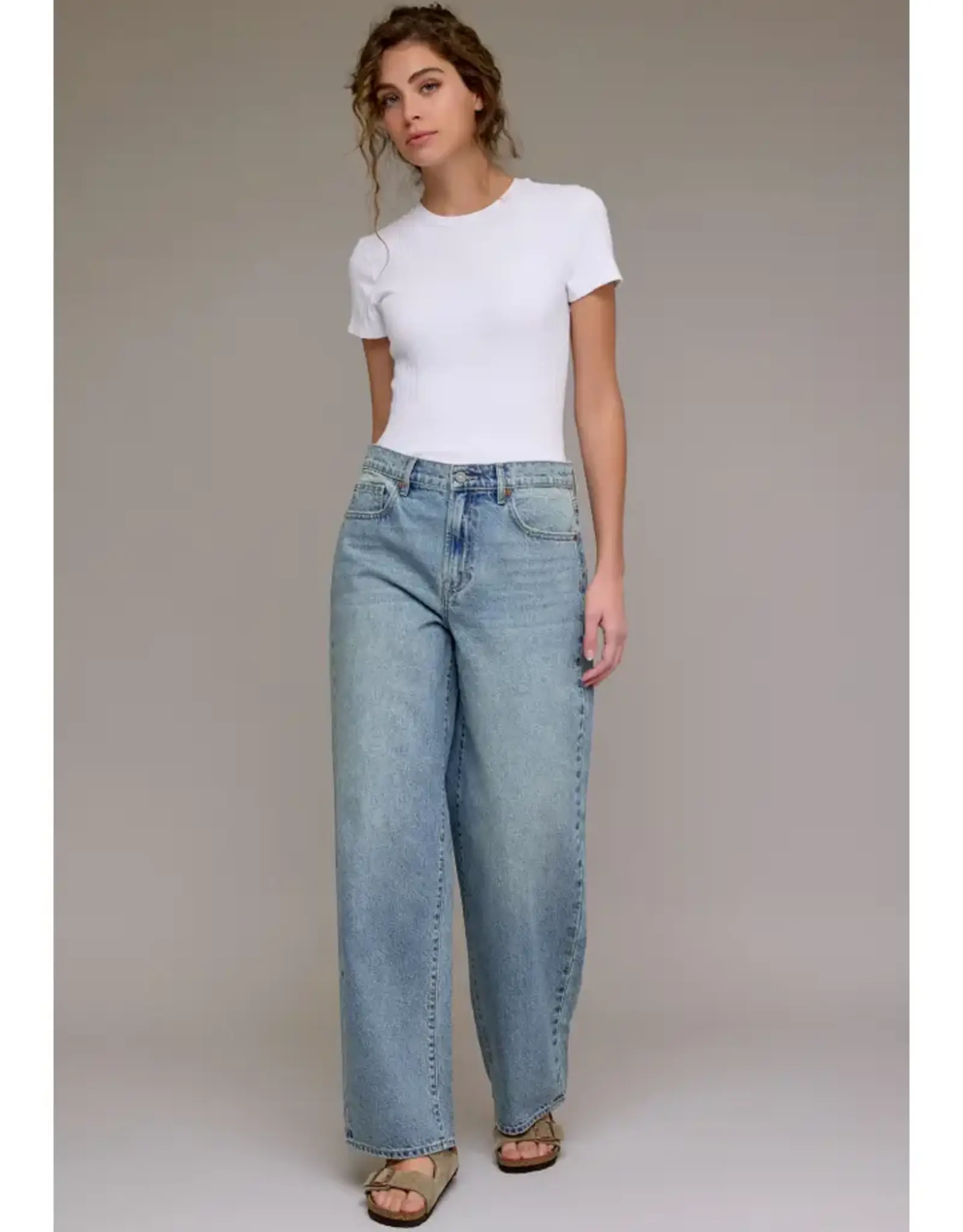Hidden High Rise Baggy Vintage Wash Jean