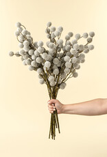 Indaba Fuzzy Pom Pom Spray