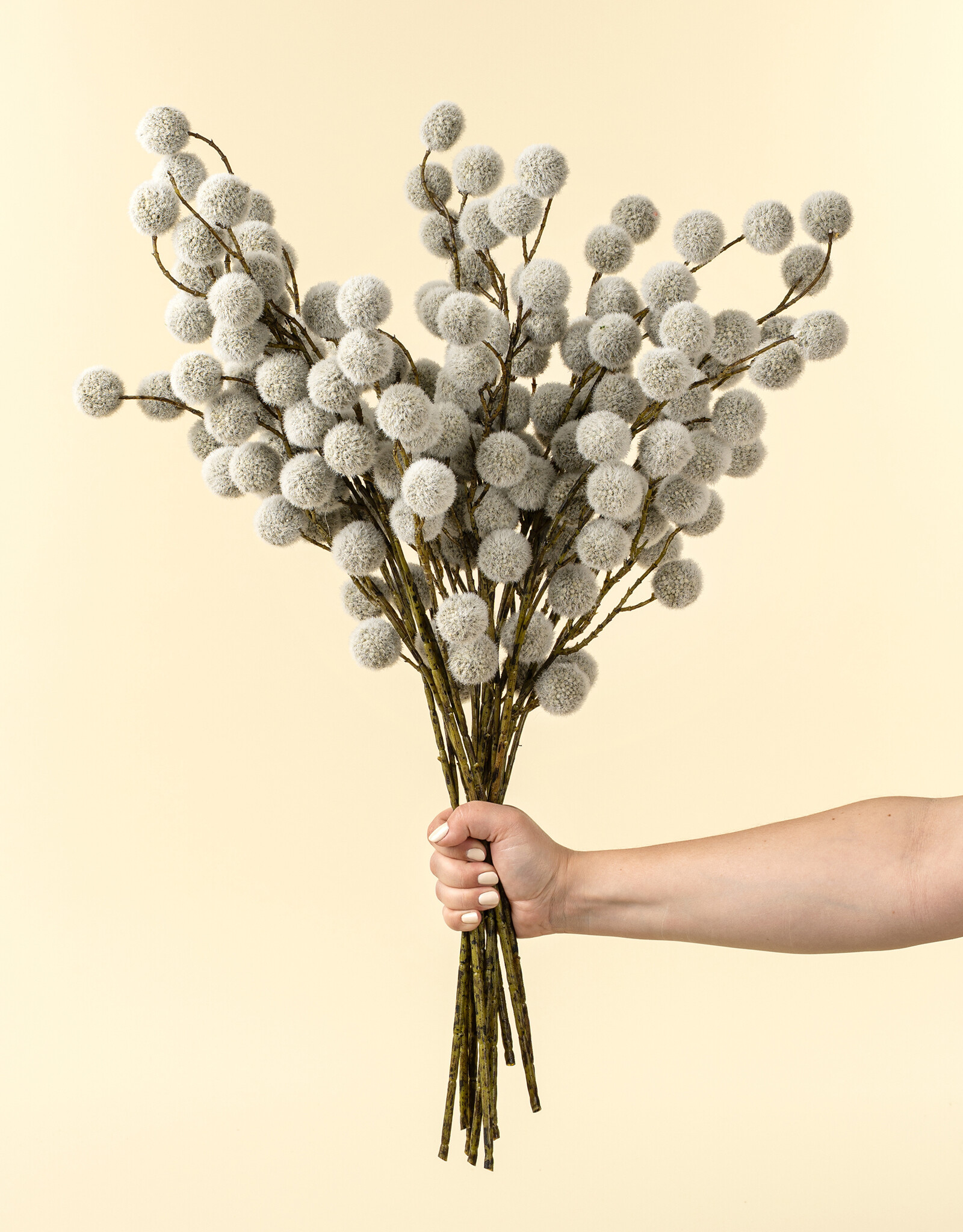 Indaba Fuzzy Pom Pom Spray