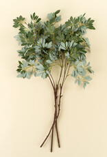 Indaba Olive Leaf Branch