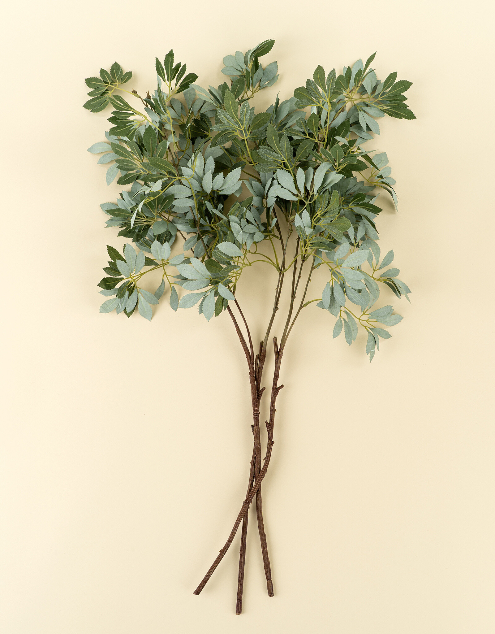 Indaba Olive Leaf Branch