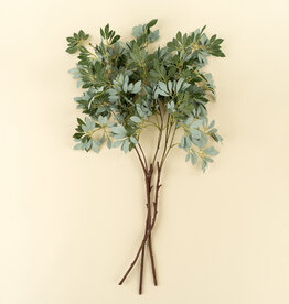 Indaba Olive Leaf Branch