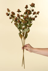 Indaba Globe Amaranth Spray, Brown