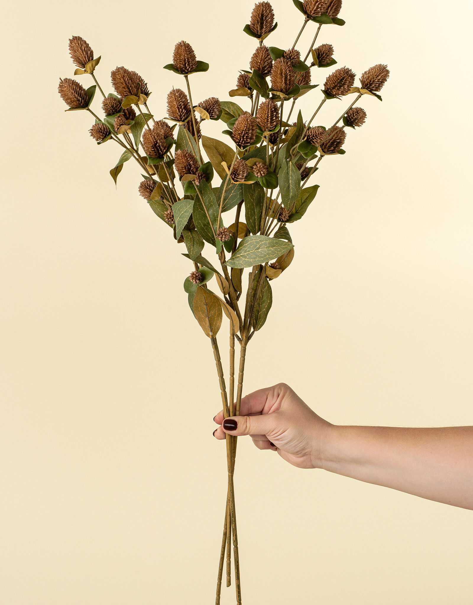 Indaba Globe Amaranth Spray, Brown